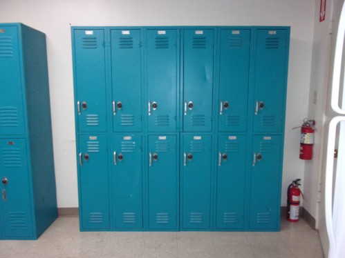 Turquoise 12 Door Lockers