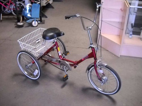 3 Wheel Bicycle