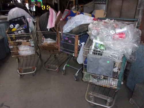 Homeless Shopping Carts