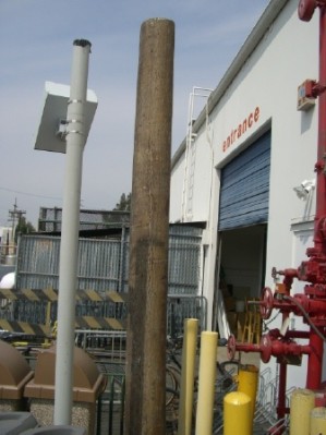 Telephone Pole- fiberglass